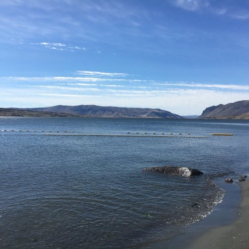 A serene lake scene with calm water, distant mountains, and a clear blue sky. A floating barrier is visible in the water.