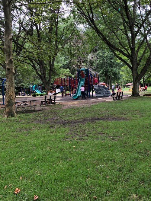 A playground with slides and climbing structures surrounded by trees, with children playing and picnic tables nearby.