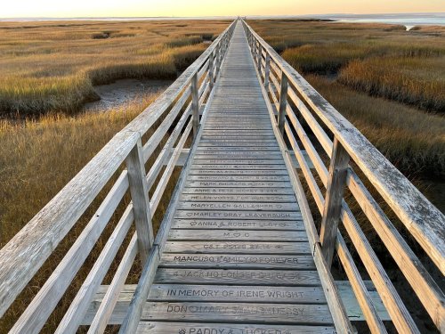 A wooden boardwalk stretches through tall grass, leading to a serene sunset over a marshy landscape.