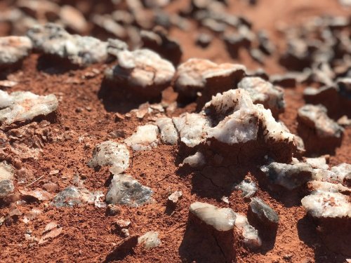 Close-up of rocky terrain featuring clusters of white and gray crystals on reddish soil.