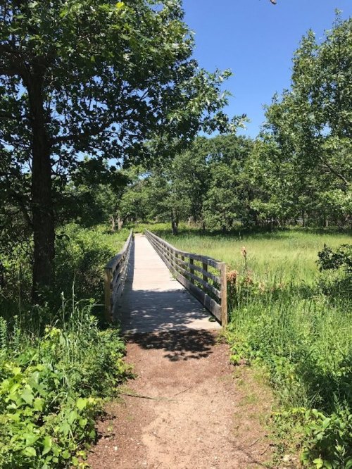 A wooden bridge leads through lush greenery under a clear blue sky.