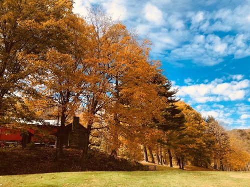 A scenic view of vibrant autumn trees with orange leaves under a blue sky, featuring a rustic building in the background.