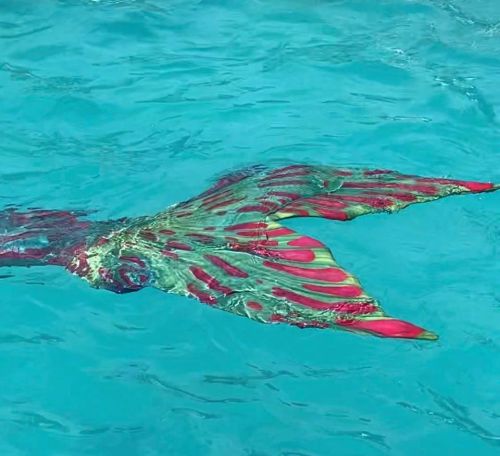 A colorful mermaid tail with red and green patterns partially submerged in clear blue water.