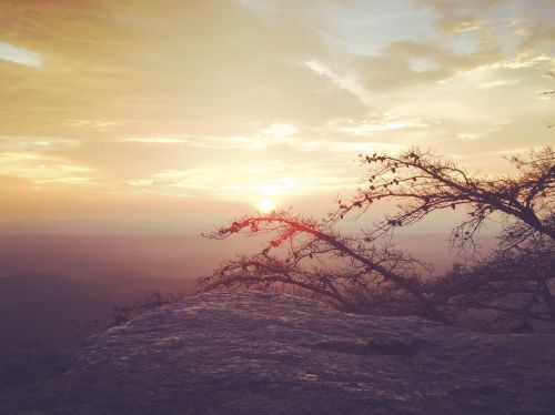 A sunset casts warm hues over a rocky landscape, with silhouetted branches framing the scene.
