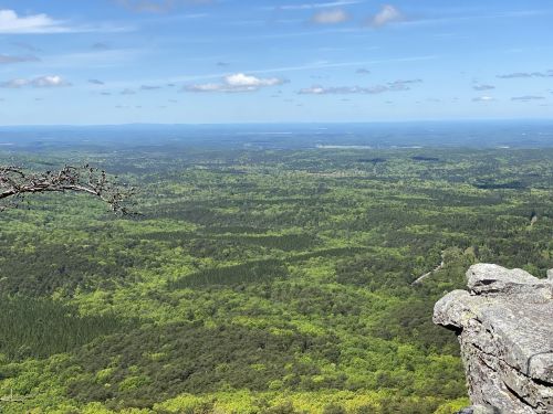 A panoramic view of lush green forests and rolling hills under a clear blue sky from a rocky mountain summit.