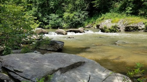 A serene river flows over rocks, surrounded by lush green trees and foliage on a sunny day.