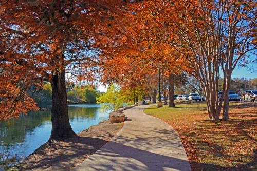 A scenic riverside path lined with vibrant autumn trees and parked cars under a clear blue sky.