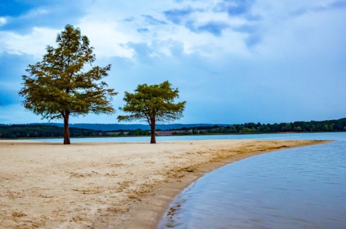 Two trees stand on a sandy beach beside a calm lake under a cloudy sky.