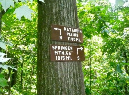 Trail sign on a tree indicating directions to Katahdin, Maine (1140 mi) and Springer Mountain, GA (1015 mi).