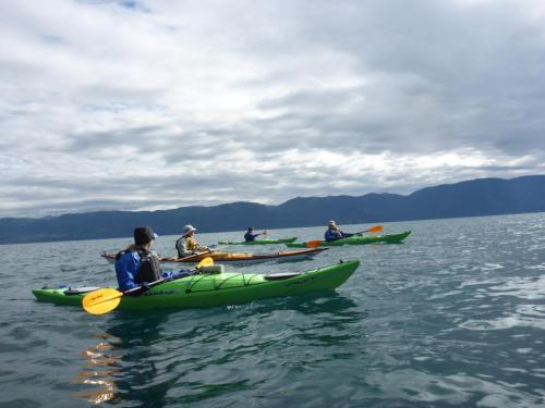 Four kayakers in green kayaks paddle on calm water with mountains in the background under a cloudy sky.