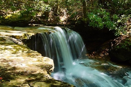 A serene waterfall cascades over rocks, surrounded by lush greenery and dappled sunlight in a tranquil forest setting.