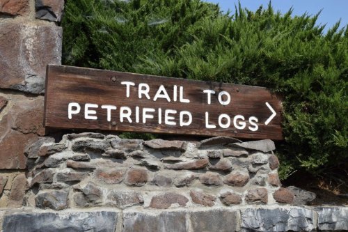 Wooden sign on stone wall directing visitors to the trail for petrified logs, surrounded by greenery.