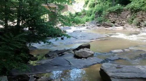 A serene river flows over rocky terrain, surrounded by lush greenery and trees.
