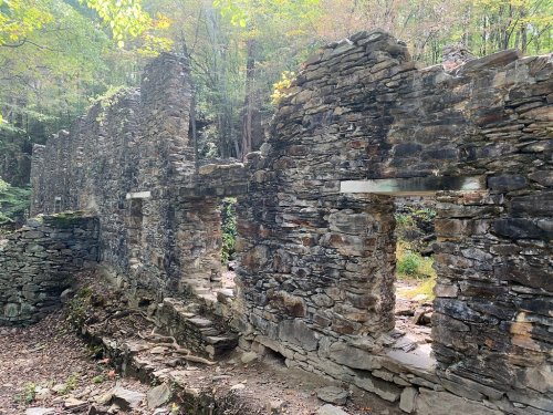 Ruins of a stone structure surrounded by trees, with moss-covered walls and a forested backdrop.