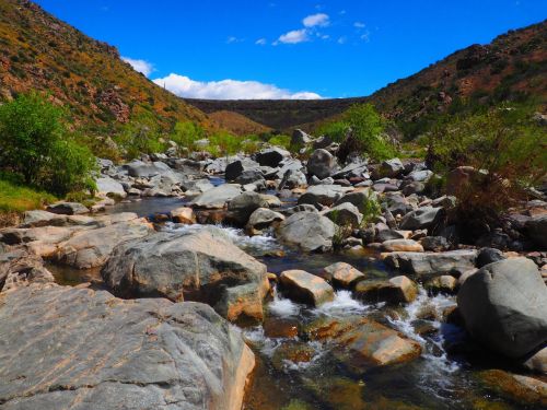 A serene river flows through rocky terrain, surrounded by green shrubs and hills under a bright blue sky.