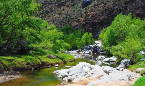 A serene river flows through a lush green landscape, surrounded by rocky formations and vibrant trees.