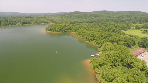 Aerial view of a serene lake surrounded by lush green trees and hills under a clear sky.