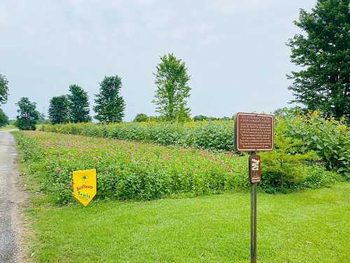 A scenic pathway lined with colorful flowers and a historical sign, surrounded by green trees under a cloudy sky.