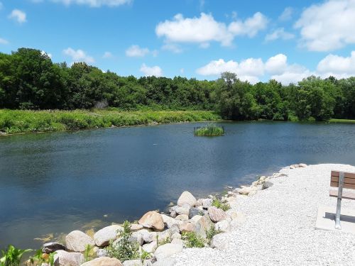 A serene pond surrounded by greenery, with a rocky shore and a bench under a bright blue sky with fluffy clouds.