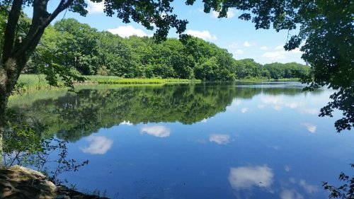 A serene lake surrounded by lush greenery, reflecting blue skies and fluffy clouds.
