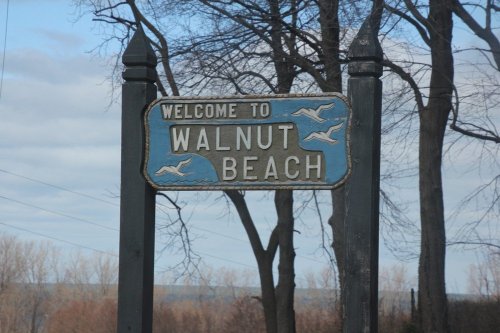 Sign welcoming visitors to Walnut Beach, featuring seagulls and surrounded by bare trees against a cloudy sky.