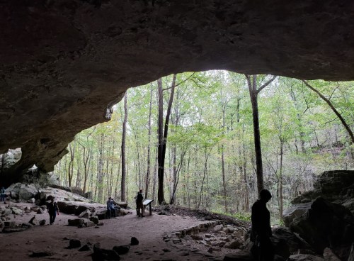 A cave opening reveals a lush forest with trees, while people explore the rocky interior.