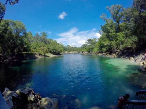 A serene blue lake surrounded by lush greenery and a wooden bridge in the distance under a clear blue sky.