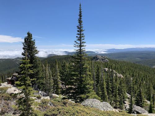 A scenic mountain view with tall pine trees, rocky terrain, and clouds rolling over distant hills under a clear blue sky.