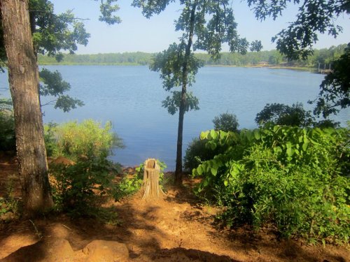 A serene lakeside view with trees and lush greenery surrounding calm water under a clear blue sky.