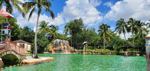 A tropical pool scene with palm trees, a waterfall, and clear blue skies, inviting for relaxation and fun.