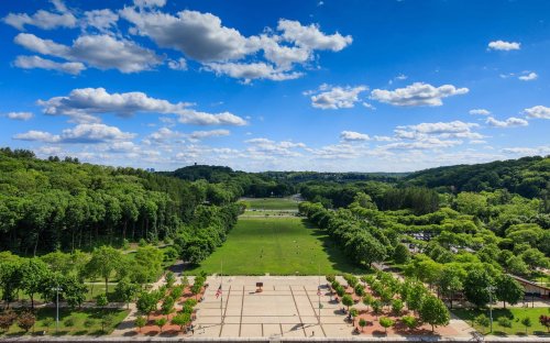 A lush green park with a wide lawn, surrounded by trees and a bright blue sky filled with fluffy clouds.