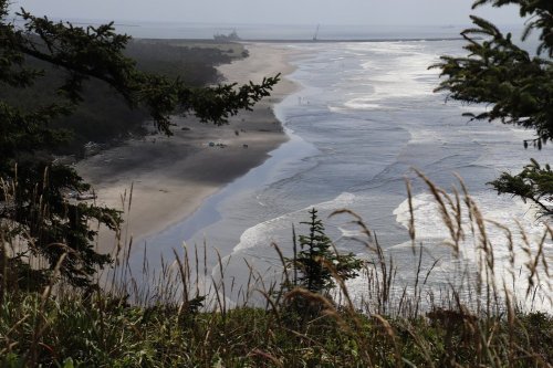 A scenic view of a sandy beach with gentle waves, framed by trees and grass, under a cloudy sky.