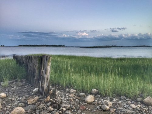 A serene coastal scene with tall grass, weathered wooden posts, and calm water under a cloudy sky.