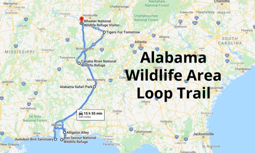 Map showing the Alabama Wildlife Area Loop Trail, highlighting key locations and distances between them.