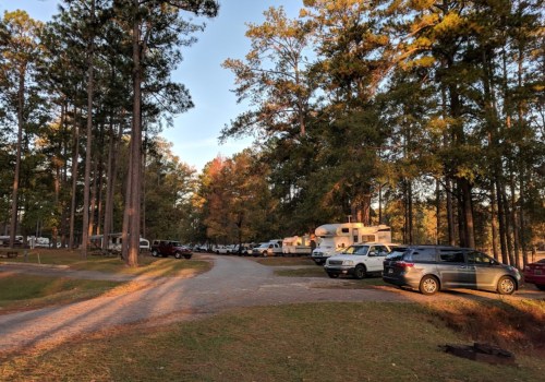 A gravel road lined with trees, leading to a campsite with parked RVs and cars under a clear sky.
