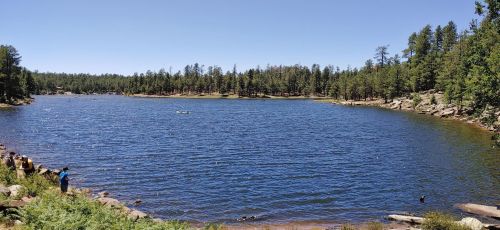 A serene lake surrounded by trees, with people enjoying the water on a sunny day.