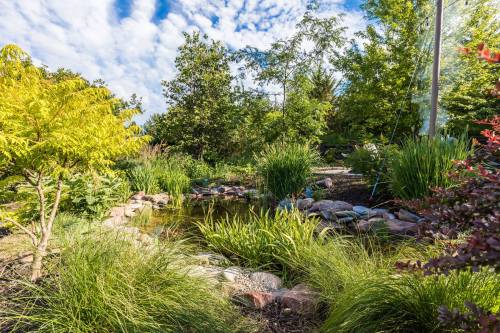 Lush garden scene featuring a pond surrounded by greenery, rocks, and trees under a partly cloudy sky.