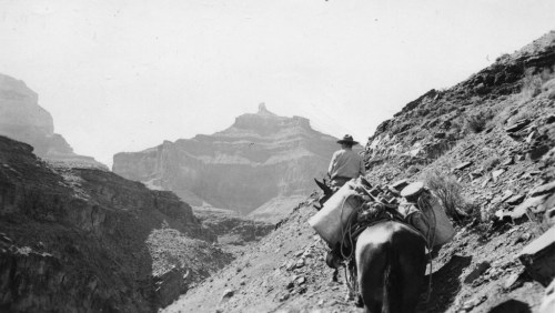 A lone rider on a horse navigates a rocky trail in a canyon, with a distant mountain peak in the background.
