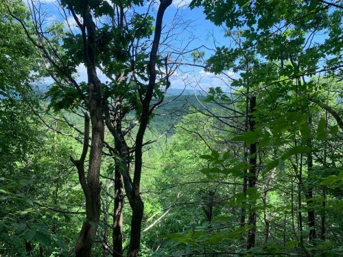 Lush green trees frame a scenic view of rolling hills and a blue sky in the distance.