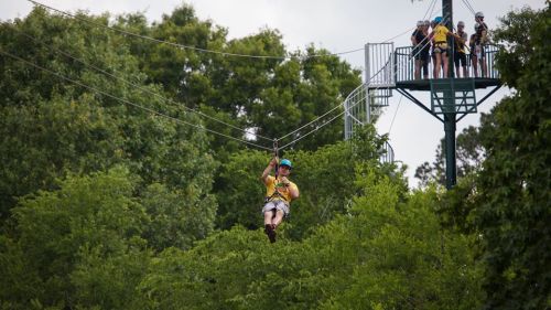 A person zip-lining through trees, with a group of people waiting on a platform above.
