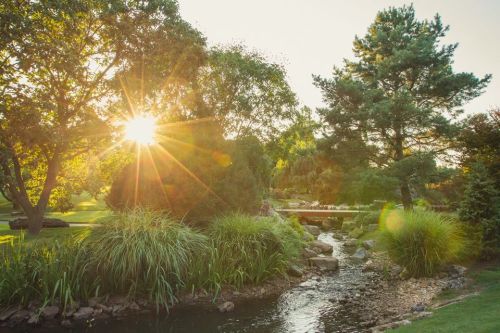 A serene garden scene with a stream, lush greenery, and sunlight filtering through trees.