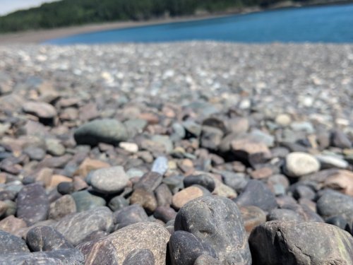 Close-up of smooth, colorful pebbles on a beach, with a blurred view of water and trees in the background.