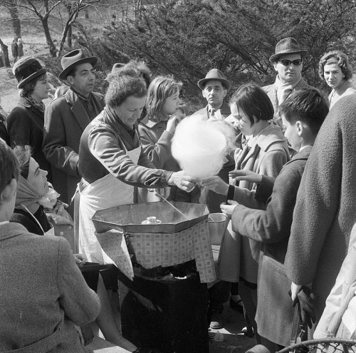 A crowd gathers around a vendor making cotton candy at an outdoor event, with people of various ages watching eagerly.