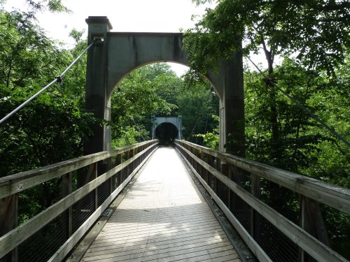A wooden bridge leads through a green forest, framed by an archway at the entrance.