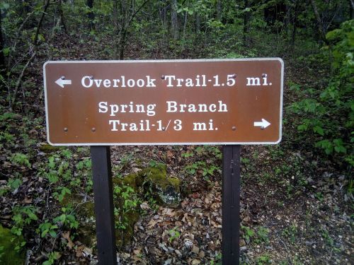 Trail sign indicating directions to Overlook Trail (1.5 mi) and Spring Branch Trail (1/3 mi) in a wooded area.