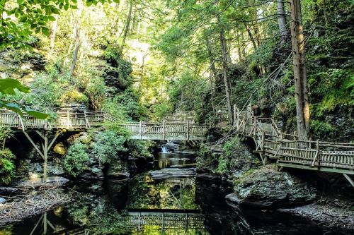 A serene forest scene with wooden walkways over a calm stream, surrounded by lush greenery and rocky cliffs.