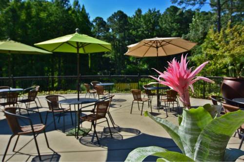 A vibrant pink flower in the foreground with a patio featuring green umbrellas and empty tables in a lush garden setting.