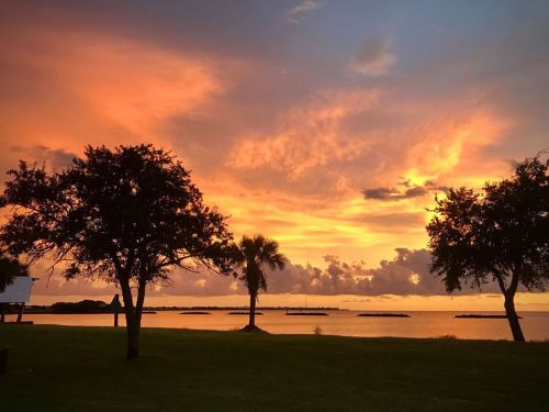 A vibrant sunset over a calm body of water, with silhouetted trees in the foreground and colorful clouds in the sky.