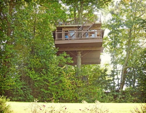 A large treehouse elevated among green trees, featuring a deck and stairs, surrounded by lush foliage.