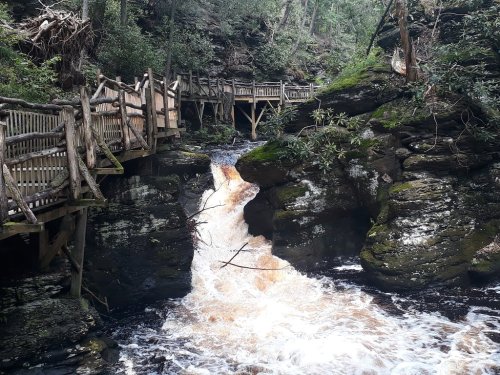 A wooden walkway alongside a rushing waterfall in a lush, green forest.